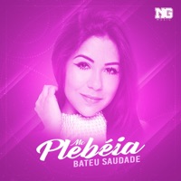 Bateu Saudade - Single - MC Plebéia