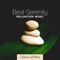 Tranquility Spa Universe - Sonia White lyrics