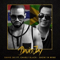 Show Ya Wine (feat. Charly Black) - Single - David Jay