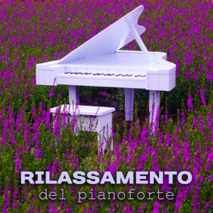 Rilassamento del pianoforte - Bel viaggio al paradiso jazz, musica rilassante e romantico, dolci suoni di tasti del pianoforte