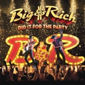 Did It for the Party cover