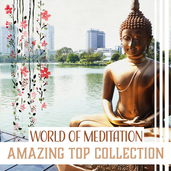 World of Meditation: Amazing Top Collection - Conquer Your Emotions, Yoga Practice, Sleep Remedies, Spirit Harmony, Calm Mind