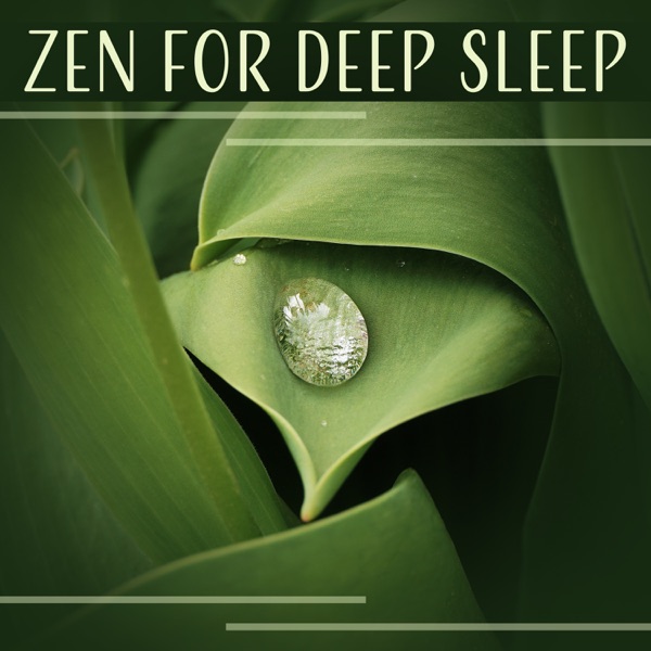Zen for Deep Sleep – Relaxation Meditation Sounds to Sleep Better, Asian Zen Serenity & Yoga Nidra for Insomnia Treatment