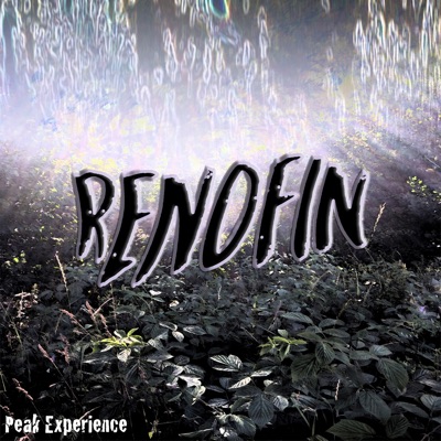 Renofin - Single