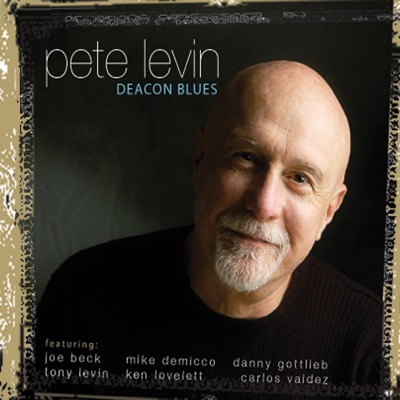 Deacon Blues (feat. Joe Beck, Mike DeMicco, Danny Gottlieb & Tony Levin)
