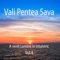 Revelion - Vali Pentea Sava lyrics