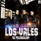 Emanuel Salgado - Los Vales De Michoacan lyrics