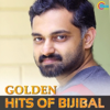 Idukki (From "Maheshinte Prathikaaram") - Bijibal