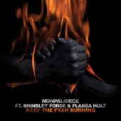 Keep the Fyah Burning (feat. Brinsley Forde & Flabba Holt) artwork