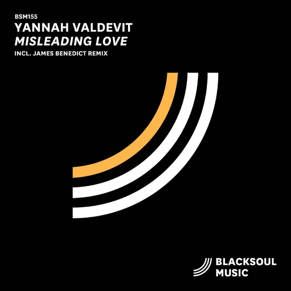 Misleading Love - Single