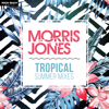 Tropical Summer Mixes - Morris Jones
