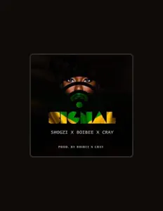 收听 Shogzi、观看音乐视频、阅读小传、查看巡演日期等 ！