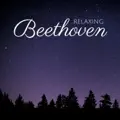 Piano Concerto No. 1 in C Major, Op. 15 I. Allegro con brio