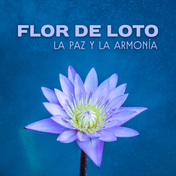 Flor de Loto – La Paz y la Armonía, Antistres, Zen Música, Flor de la Mañana, Relajante