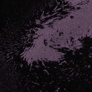 Something Akin to Lust - Single