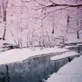 Motions