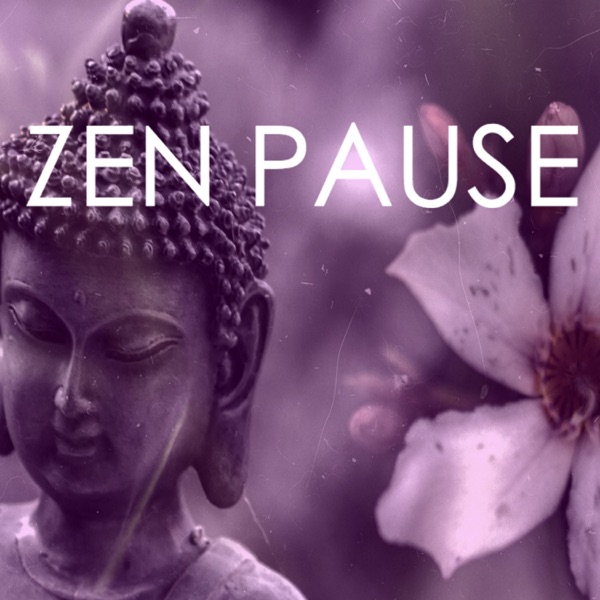 Zen Pause - Spa Meditation Experience for Wellbeing, Chakra Cleansing Sounds