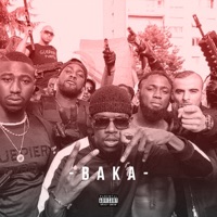 Guépier, vol. 10 (feat. Dz I & Mj2deux) - Single - Baka