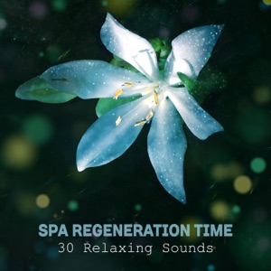 Spa Regeneration Time: 30 Relaxing Sounds for Massage, Aromatherapy, Beauty Treatments, Natural Sleep Aid, Meditation & Yoga