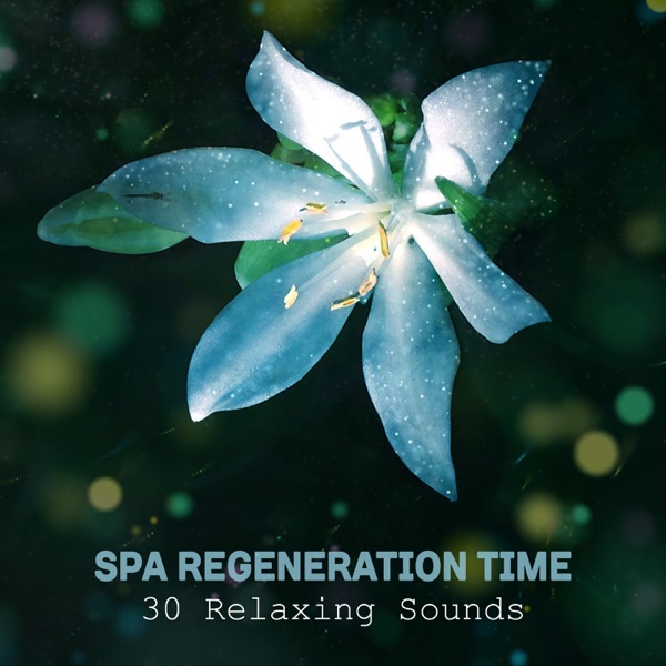 Spa Regeneration Time: 30 Relaxing Sounds for Massage, Aromatherapy, Beauty Treatments, Natural Sleep Aid, Meditation & Yoga