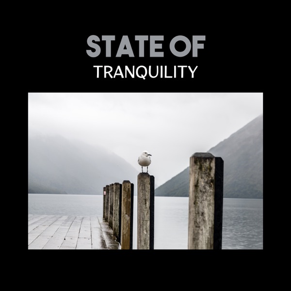 State of Tranquility – Inward Journey, Keep Your Zen, Deep Relaxation and Healing Meditation for Spirit, Body Balance