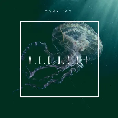 Ouça M.E.D.U.Z.Z.A. - Single de Tony Igy.