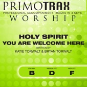 Holy Spirit You Are Welcome Here artwork