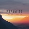 The Lord Is My Shepherd, Psalm 23 - Jason Silver lyrics