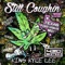 Smokers Anthem (feat. Lil' Flip) - King Kyle Lee lyrics