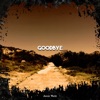 Icon Goodbye - Single