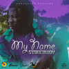 Stonebwoy - My Name artwork