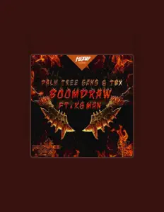 聆聽 Palm Tree Gang、觀看音樂影片、閱讀小傳、查看巡演日期等！