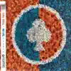 Casuarina - Dissimulata