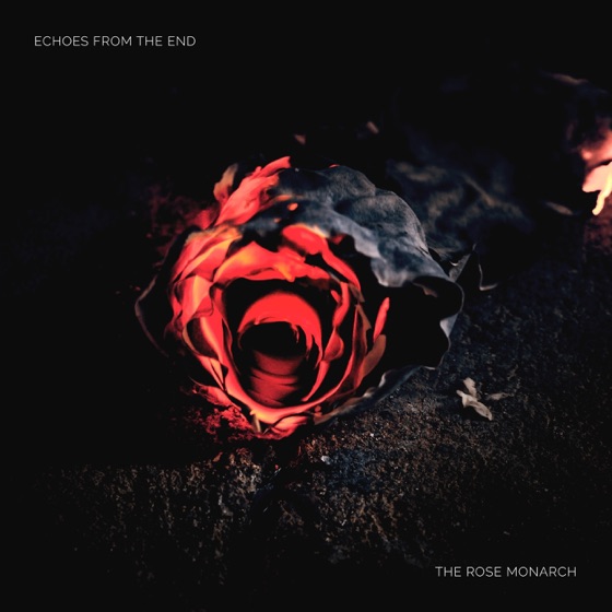Cover artwork for The Funeral