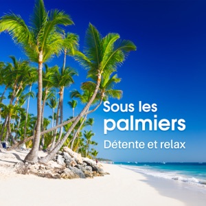 Sous les palmiers: Détente et relax - Zen maître de la relaxation, au bord de la mer, vagues de l'océan