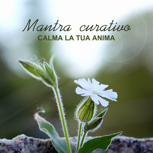 Mantra curativo: Calma la tua anima - Musica di meditazione per la connessione sacra, superare le emozioni distruttive