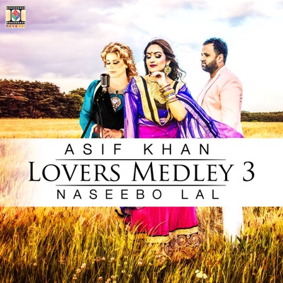 Lovers Medley 3 - Single