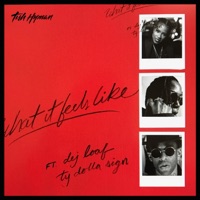 What It Feels Like (feat. Ty Dolla $ign & DeJ Loaf) - Single - Tish Hyman
