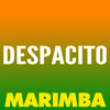 Despacito (Marimba Remix) - The Marimba Squad