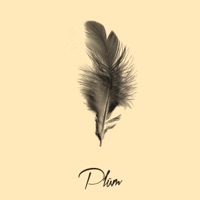 True Love - Single - PLÜM