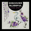 Discover Blissful Asian Space – Ancient Chinese Musi, Deep Meditation and Mindfulness, Secret Zen - Hana Feng Lei