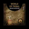 Native Meditation Zone - Shamanic Music