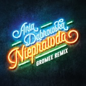 Nieprawda (Gromee Remix) artwork