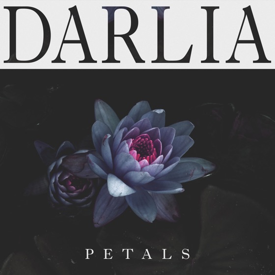 Cover artwork for Stars Are Aligned