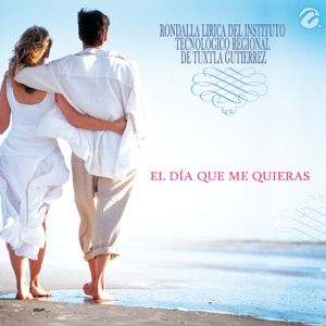 El Día Que Me Quieras - Single