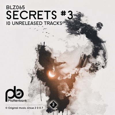 Secrets #3