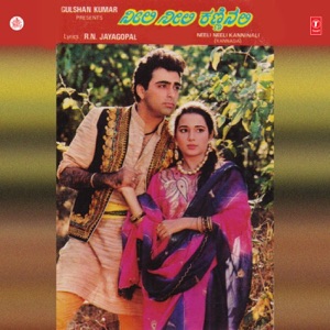 Neeli Neeli Kanninali