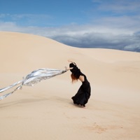 Systemagic / Anymore (Remixes, Pt. 2) - Single - Goldfrapp