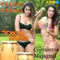 los corraleros de majagual
