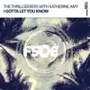 I Gotta Let You Know (Extended Mix) [with Katherine Amy]